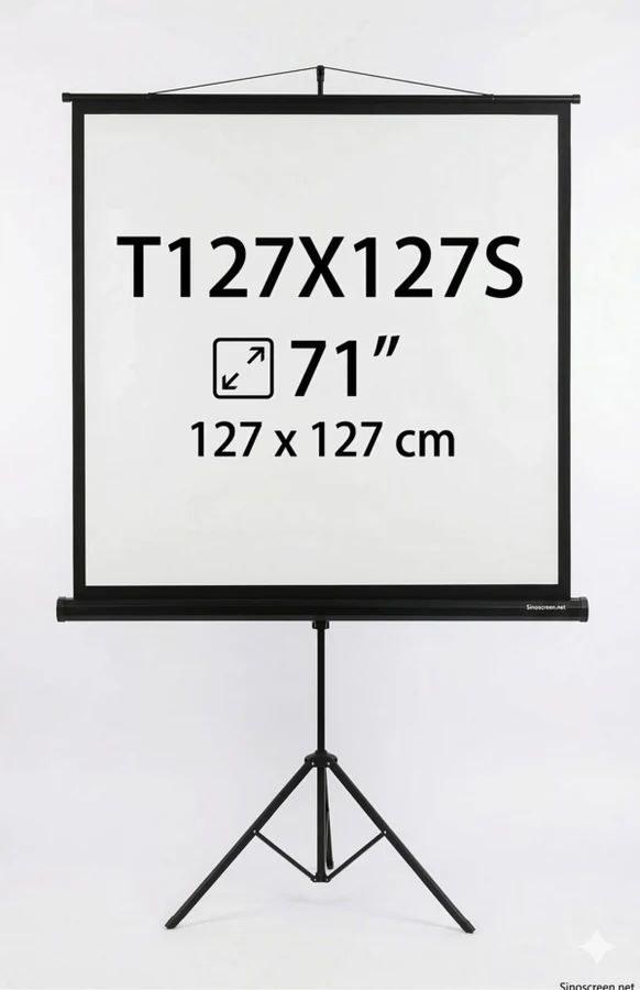 T203X203S