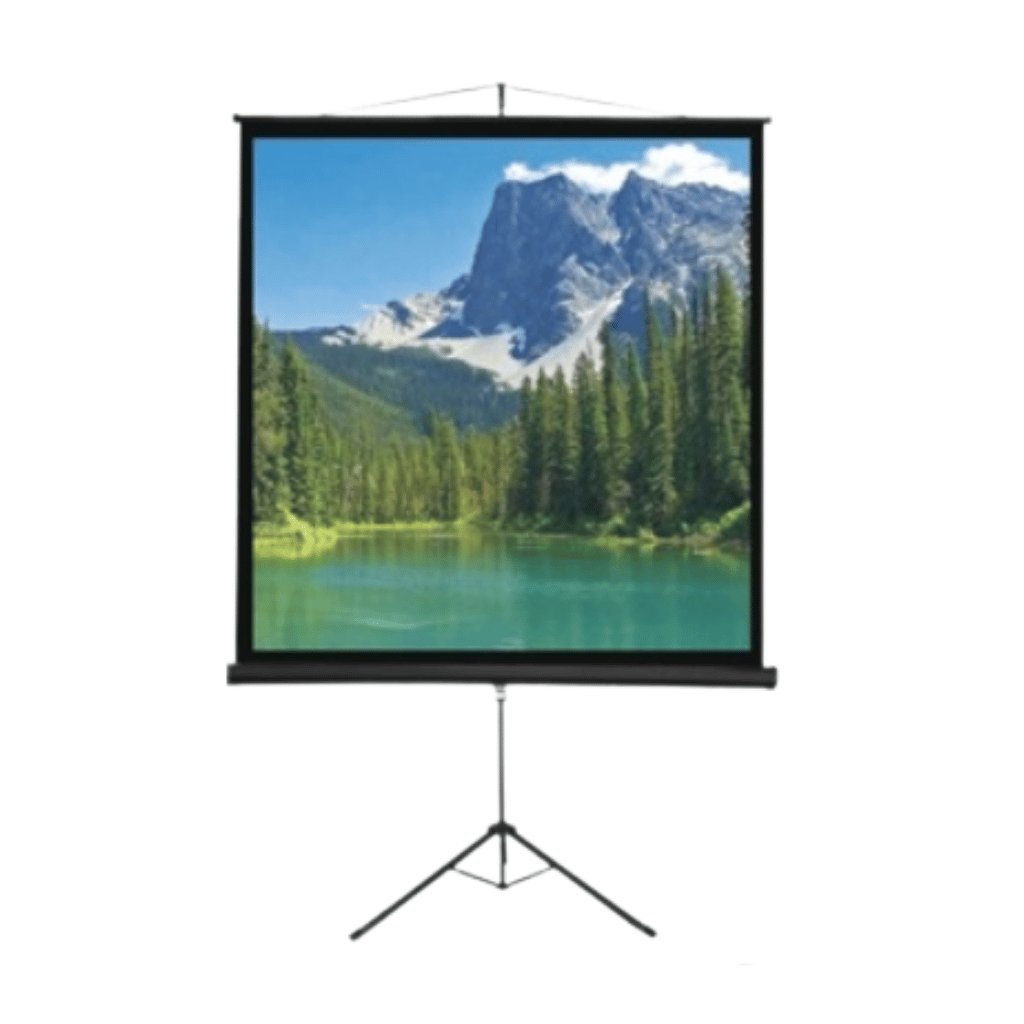 T127X127S